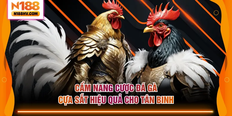 Cẩm nang cược đá gà cựa sắt hiệu quả cho tân binh